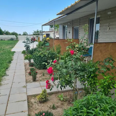 Pensiunea Chiquita Guest house *