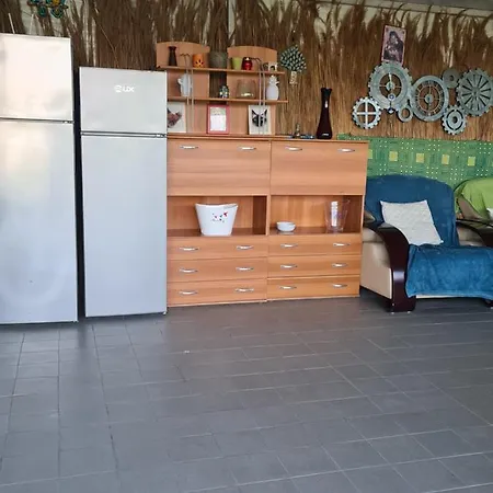 Pensiunea Chiquita Guest house *