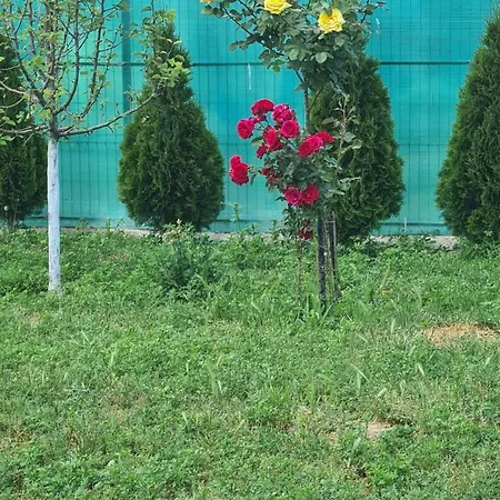 Pensiunea Chiquita * Vadu